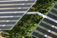 1 chilowatt fuori dal sistema del montaggio del tetto piano del pannello solare di griglia con il pro invertitore