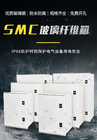 Scatola di distribuzione di recinzione della vetroresina del cavo di SMC con la doppia norma del CE delle serrature
