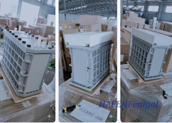 Recupero 97% Flusso nominale 5,0 M3/h Veolia Moduli EDI E-Cell-3X
