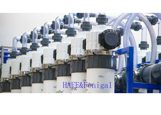 Intervallo di flusso 1.3    4.0 m3/h 33m2 PVDF DOW Ultrafiltration Membrane Modules SFP-2660 / SFD-2660