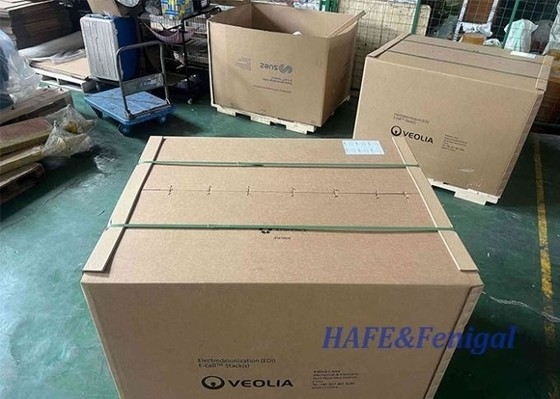 Veolia EDI Stacks MK-7 Alta capacità per la depurazione dell'acqua industriale